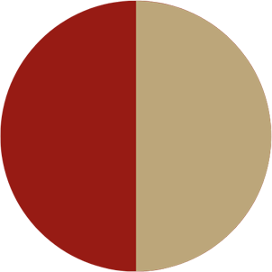 1:1 Learning Sessions